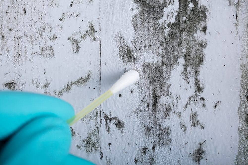 Understanding EPA Recommendations: What You Need to know About Mold Sampling and Testing